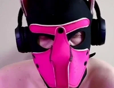 This Could Be Your Cock in Puppy's Mouth