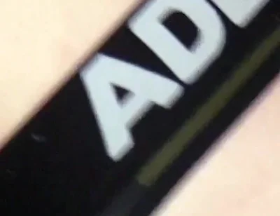 I Wait for My Master in the Cellar