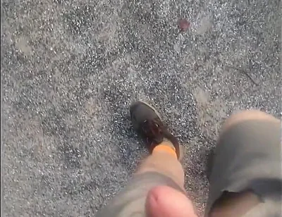 Went for a Walk at the Truck Stop