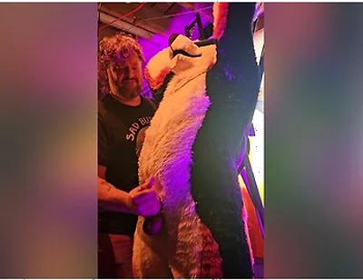 Blindfolded Canine Edged By Stepdaddy Bear Until He