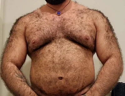 Bear Is Here