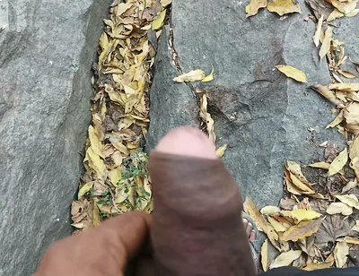 Tamil Boy Masturbating in the Forest