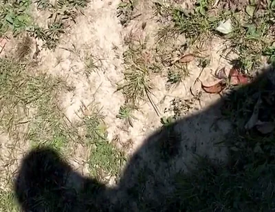 Shadow of Me Beating My Dick Outside Again