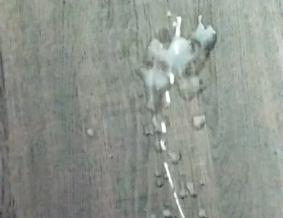 Slo Mo Cumshot
