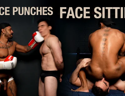 Punches, Ballbusting, Facesitting and Hot Sex