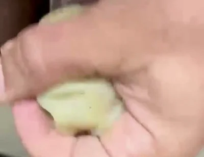 How to Use an Egg!
