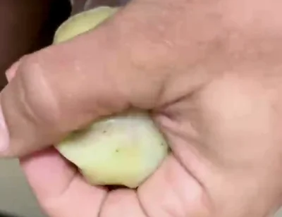 How to Use an Egg!