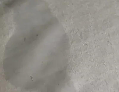 So Much for Fresh Sheets