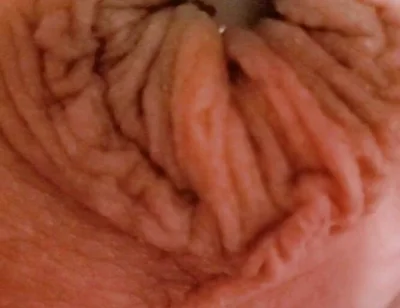 Into the Sarlacc Pit. Lee Przybylowicz Showing His Clitty Shrinkage