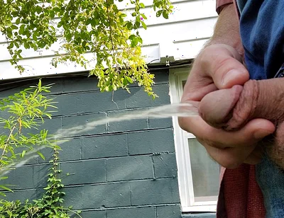 I Film Myself Pissing a Lot so I Can Show You