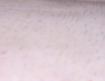 Daddy Bear Fucks Ass His Boy