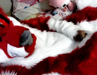 Jerking off and Showing Footpaws in Full-body Fursuit
