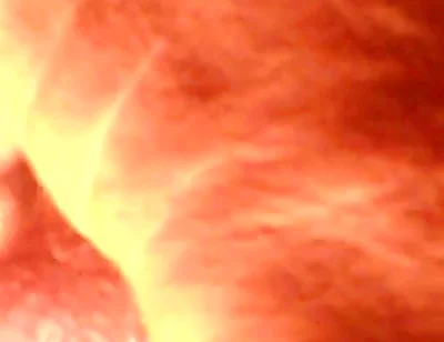 Cam2 Compilation Vid of Fuck Machine Day