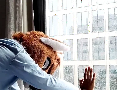 Bareback Femboy Furry Fursuit Fuck in Front of Window