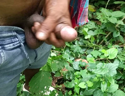 Young mature work in Deep forest.