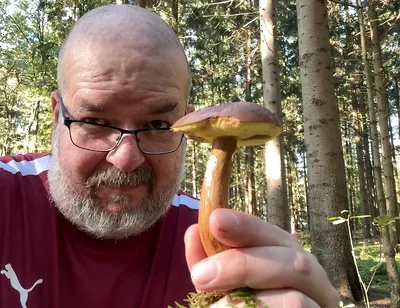 First in the Forest, Picking Mushrooms. and Then