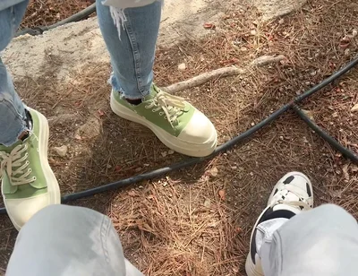 Getting Hot and Heavy with a Stranger in a Park
