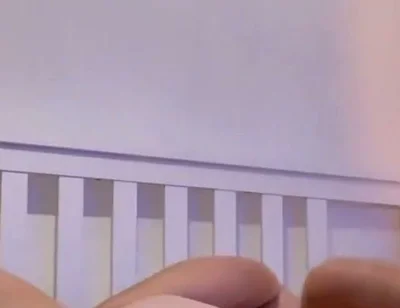 Flip Fuck