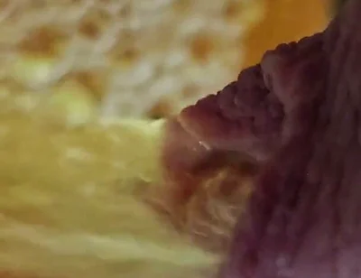 Macro Long Foreskin Piss