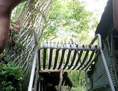 Outdoor Pee, Someone Can Enjoy It
