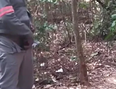 I Went to the Lagoon to Take a Piss and Masturbate.