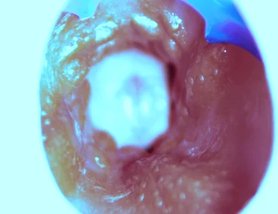 How I Fuck From the Inside! Camera Inside!