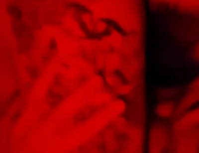 Red Light Make Out