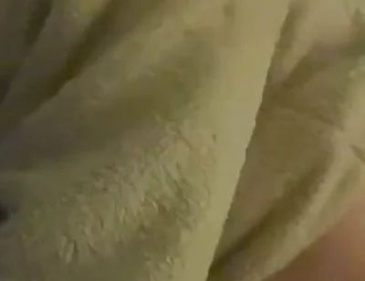 Hot Quickie