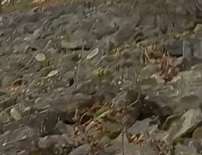 The Cute Guy Jon Arteen Pees Outdoors in This Compilation of His Hottest Peeing Moments