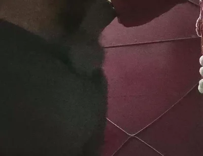 Desi Boy Masturbating