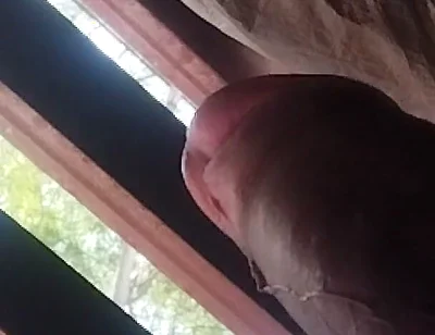 Your Good Morning Erect