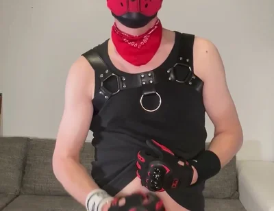 Horny Doggo!