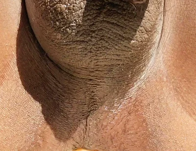 Very Hot Ass