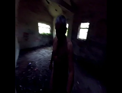 Nov Walk in the Woods