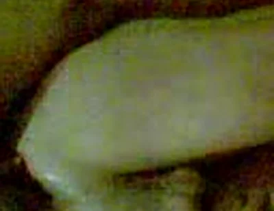 فتح طيز