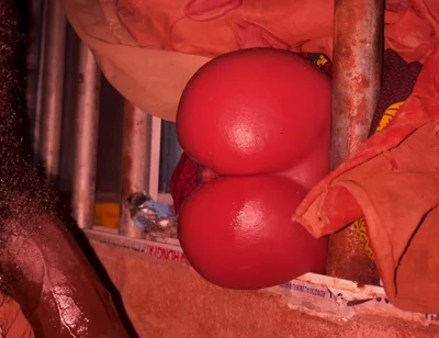 Big Ass Vibrate All Dick to Cum Hubby