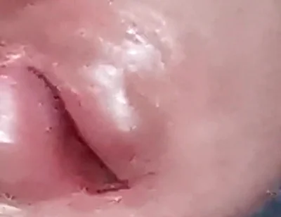 The Dick Growls at Its Owner