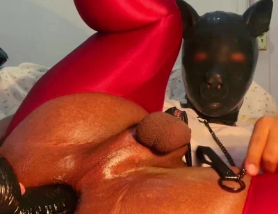 Please Insert a Very Thick Dick with a Leash Into My Ass and Whip Me a Lot While I Hold This Position.