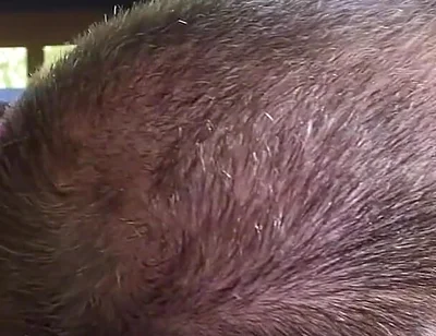 The Scent of Leather