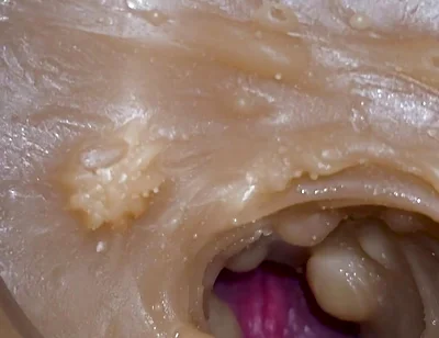 Camera Inside Deep Pussy Captures Cumshot