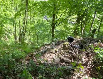 Connecting with Nature