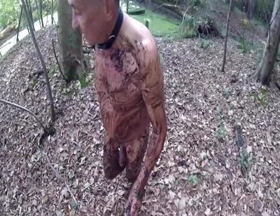 Part 2 Dirty Ib the Woods