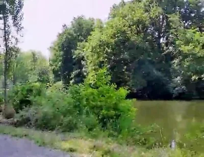 Slutboyben Cam4 Mega Sexy Public Exhibitionist Pig