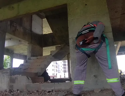 I Took a Toy to Work and Look What I Did