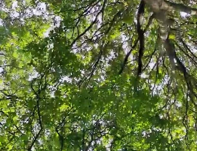 Slutboyben Cam4 Sexy Cruising Chick Iii Live Outdoor Exposure