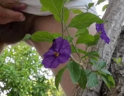 Watch Me Jerking off Outdoors While Hiding Behind a Tree