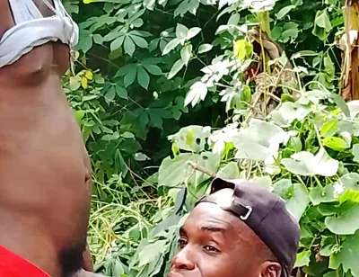 Big Cock Sucker