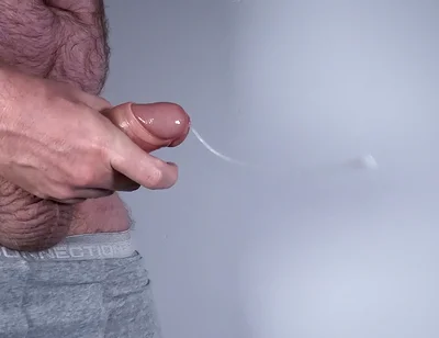 Bear Suffers From Sudden Wank Syndrome