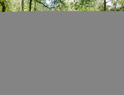 Thank You Again for Cum and Watching