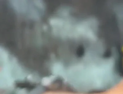 Gay Orgy at Rectumbcn